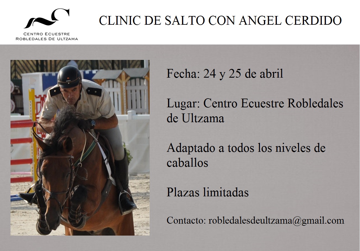 Clinic de Salto con &Aacute;ngel Cerdido